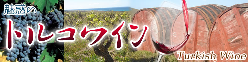 魅惑のトルコワイン